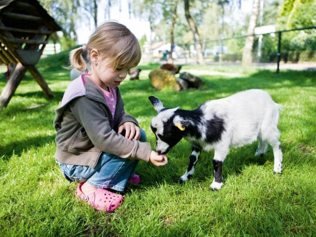 Landal De Veluwse Hoevegaerde Hotel Putten Zewnętrze zdjęcie